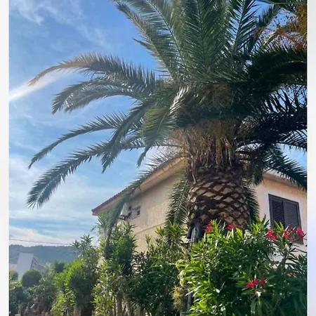 Holiday home Delle Palme Porto Ottiolu